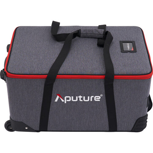 Aputure AP30332A20 LS 600c Pro II (V-mount)（US）