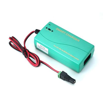 LiteGear LP1.00106 NiMH Battery Charger, 900/1800 mA, 12V